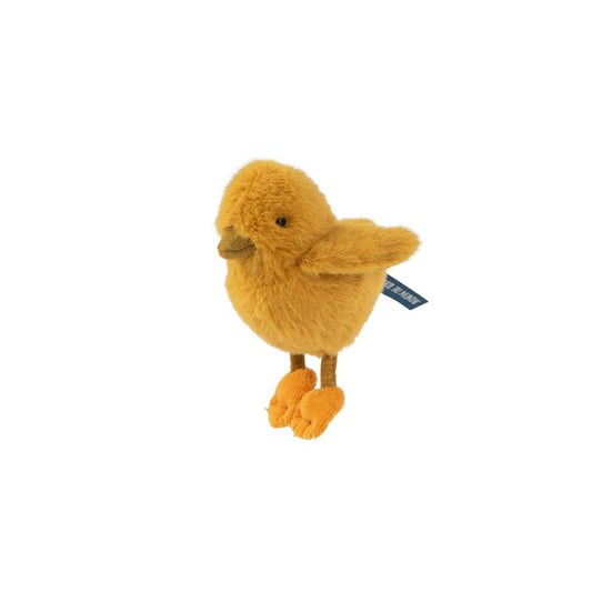 Pollito Tout Autor du Monde