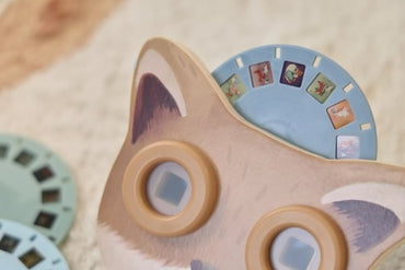 Visor de Historias Amigos del Bosque