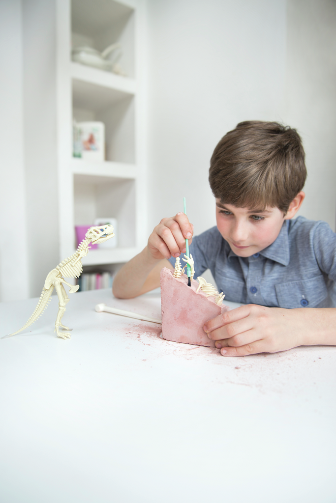 Kidz Labs Kit Geológico de un Brachiosaurus