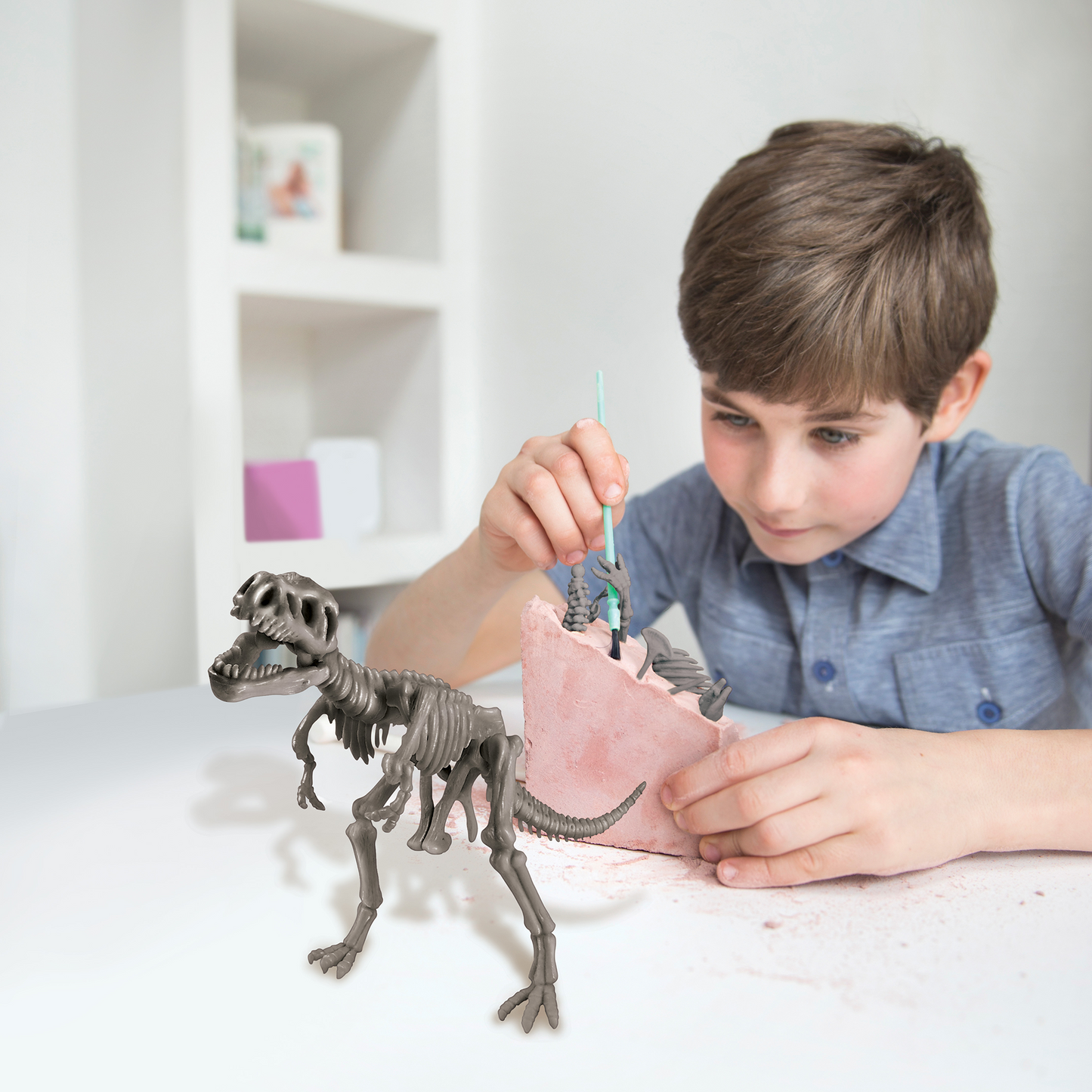 Kidz Labs Kit Geológico de un Tyrannosaurus Rex