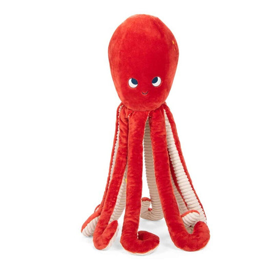 Pulpo Gigante Paulie