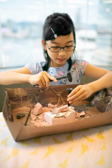 Kidz Labs Kit Geológico de un Brachiosaurus
