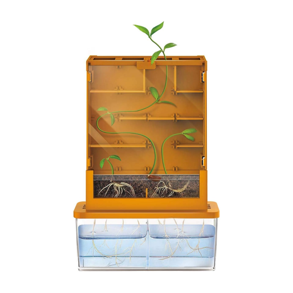 Green Science Haz Crecer tus Plantas en el Laberinto