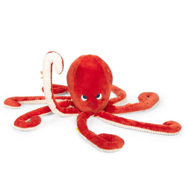 Pulpo Gigante Paulie