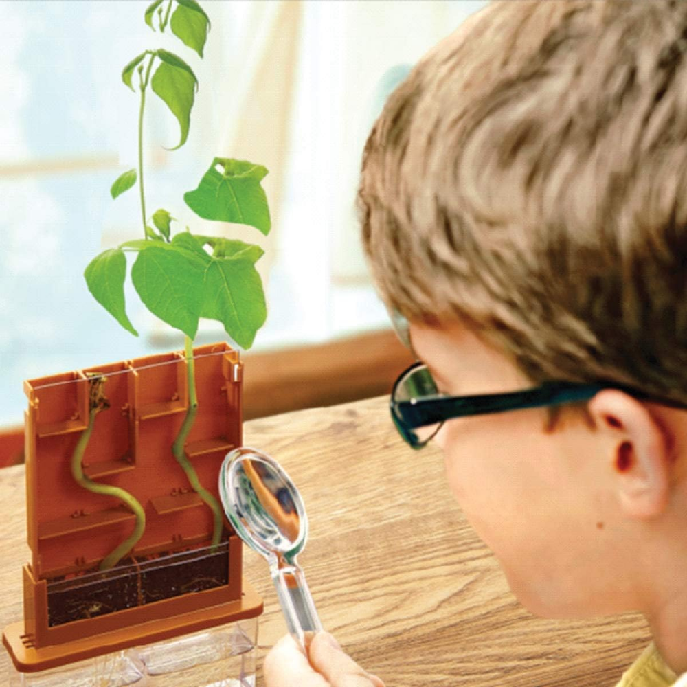 Green Science Haz Crecer tus Plantas en el Laberinto