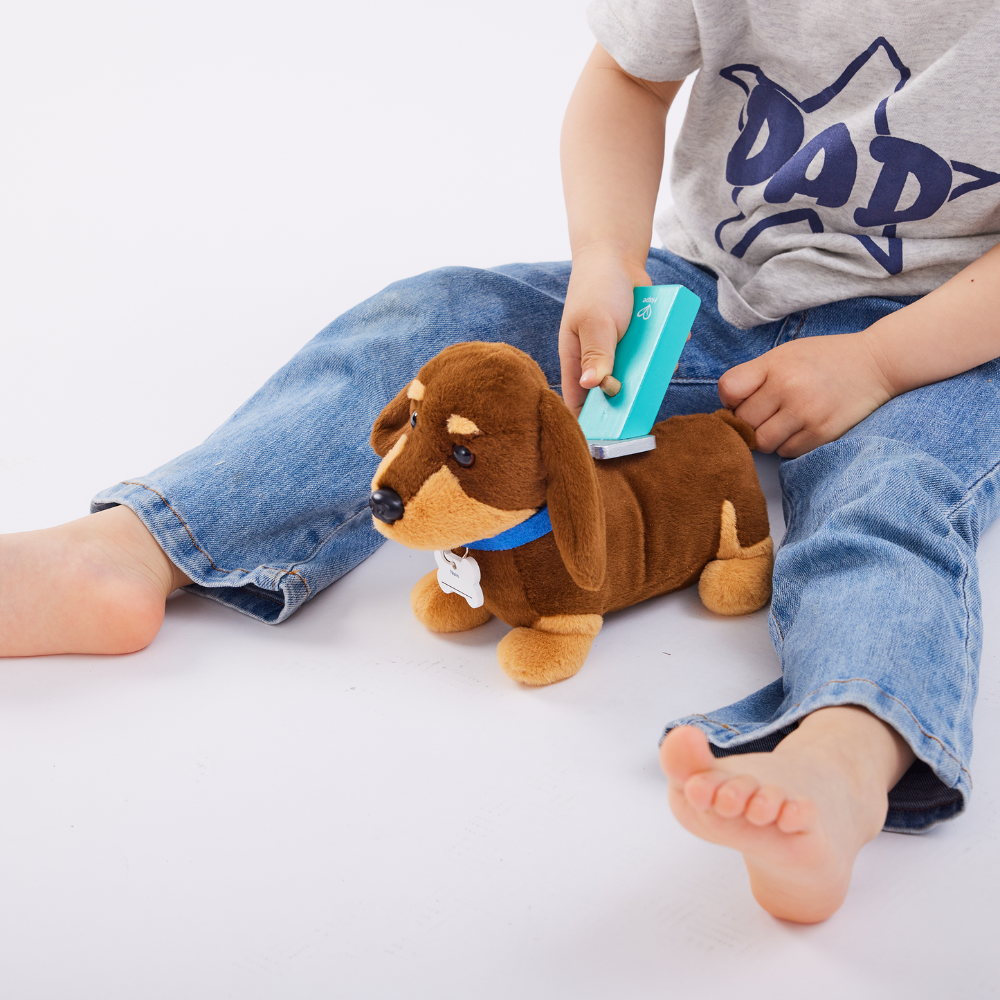 Juego de Clínica Veterinaria Hape