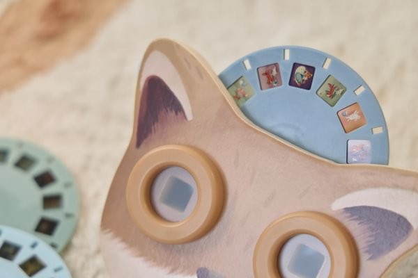 Visor de Historias Amigos del Bosque