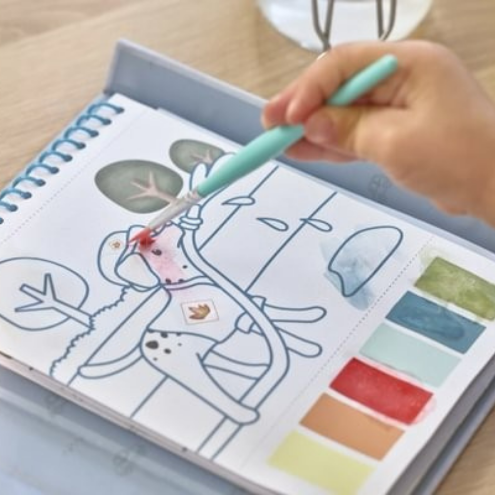 Set de Pintura con Agua Jim Vehículos