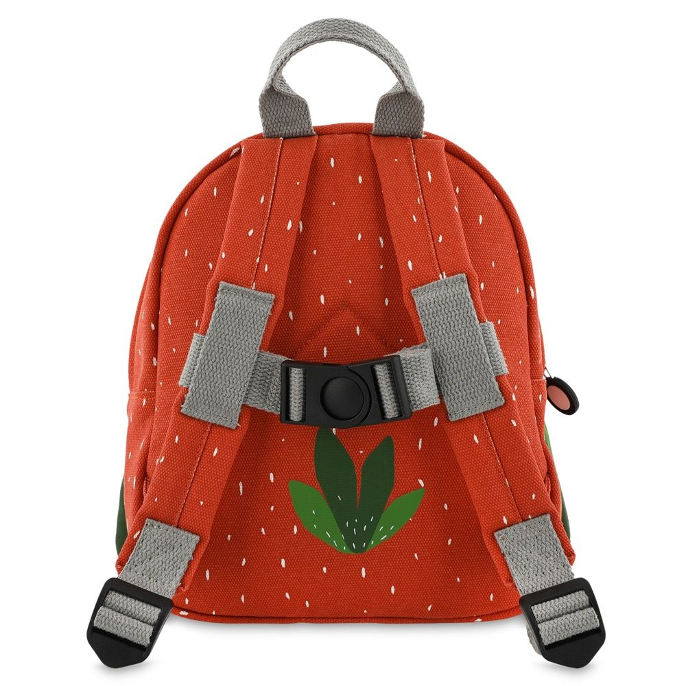 Mochila Pequeña - Mr. Parrot