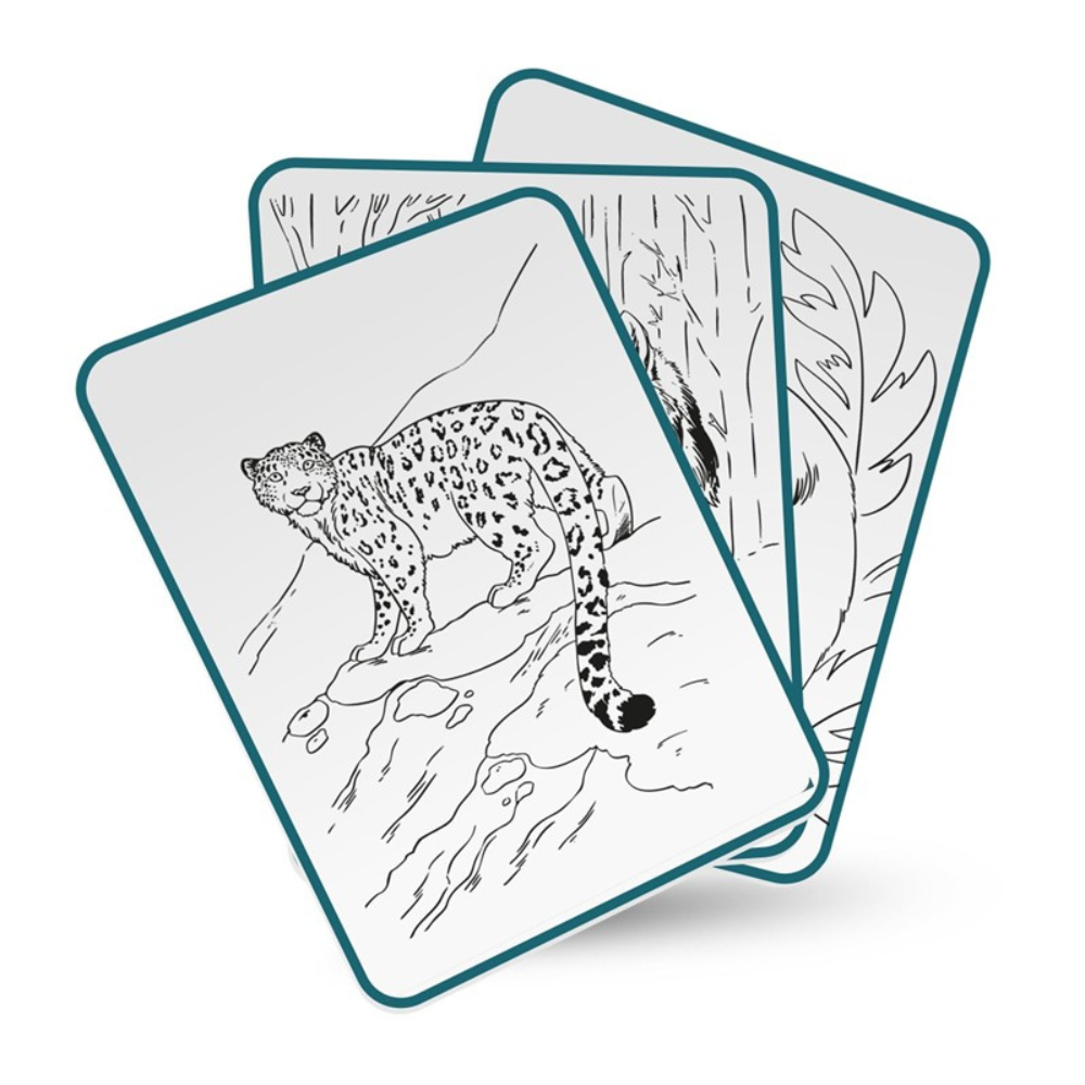 KidyDraw Pad - Animales