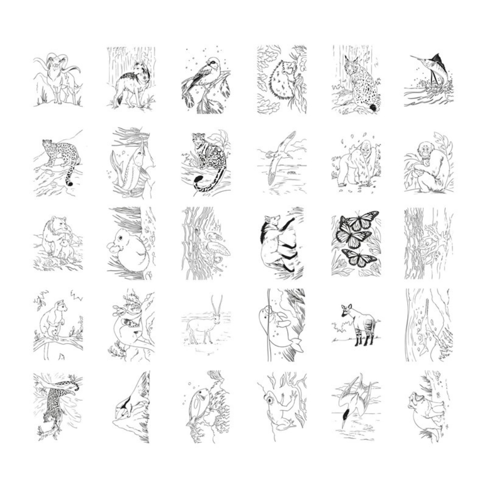 KidyDraw Pad - Animales