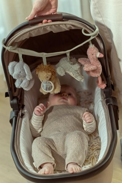 Juguete para Carrito Safari Friends
