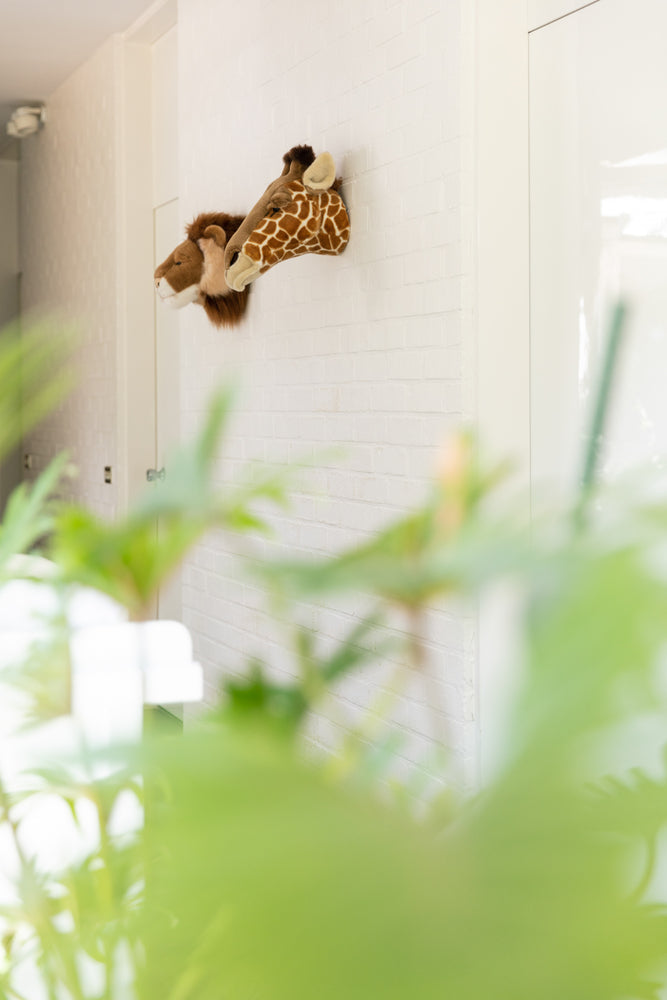 Cabeza de jirafa Ruby decorativa para pared Wild & Soft