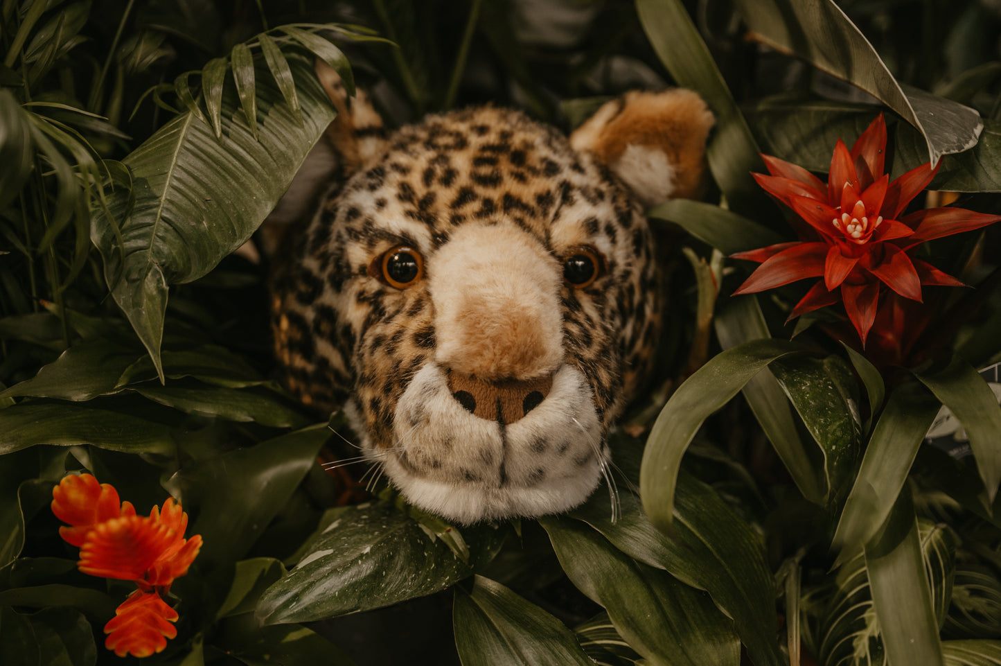 Cabeza de Leopardo Charlie mediana - Wild & Soft